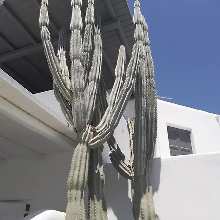 Apartment Rosemary Suites And More.... Mykonos Town
